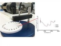 A quick and easy new method to detect Wolbachia bacteria in intact Aedes mosquitoes