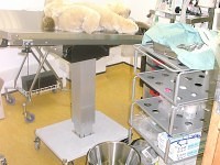 Surgery