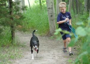 Vets share tips on exercising with your dog