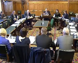 Vets call on MPs for better tools for enforcement of animal welfare laws