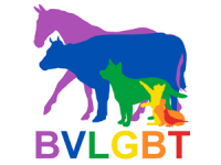 Vets stride out with Pride for the first time