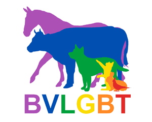 Vets stride out with Pride for the first time