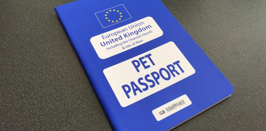 More pet passports have arrived in stock!