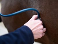 BVA expands support for young vets as 45% voice concerns