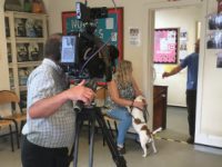 Two exclusive viewings at BVA Members’ Day