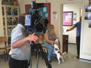 Two exclusive viewings at BVA Members’ Day