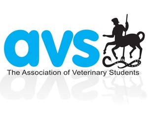 Study pressures students' biggest worry