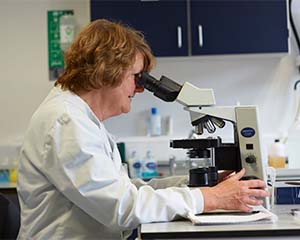 EU-backed veterinary hub will offer ‘innumerable benefits’