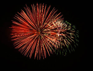 Vets ask pet owners to start fireworks prep early