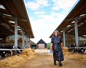 One year on from BVA Brexit report: progress in pictures