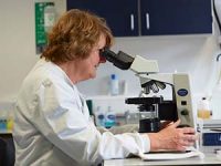 UK Governments must work with the profession to modernise disease surveillance networks, say leading vets