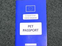 BVA calls for post-rabies vaccination waiting times to be extended post-Brexit