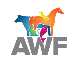 Vet-led animal welfare charity seeks production animal vets for Board