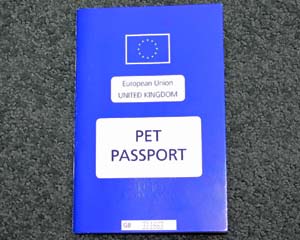 BVA calls for post-rabies vaccination waiting times to be extended post-Brexit